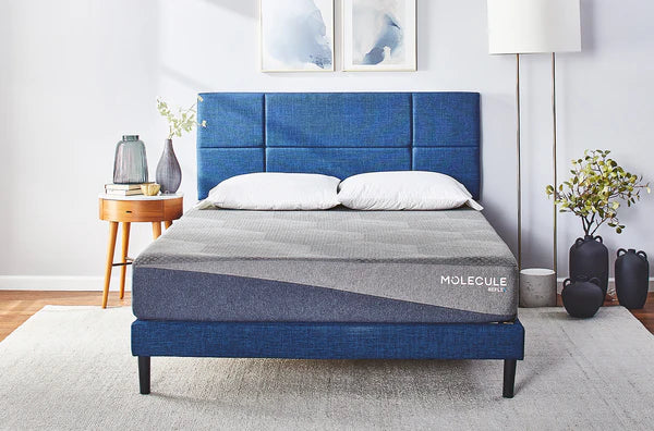 MOLECULE 10" Reflex Mattress